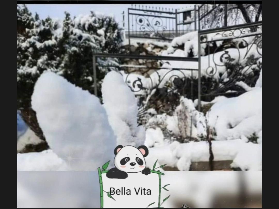 Apartman Bella Vita Kolašin Cameră foto